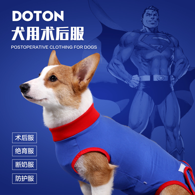 狗狗手术衣公狗绝育服棉金毛小中大型犬术后恢复服包肚母狗断奶服