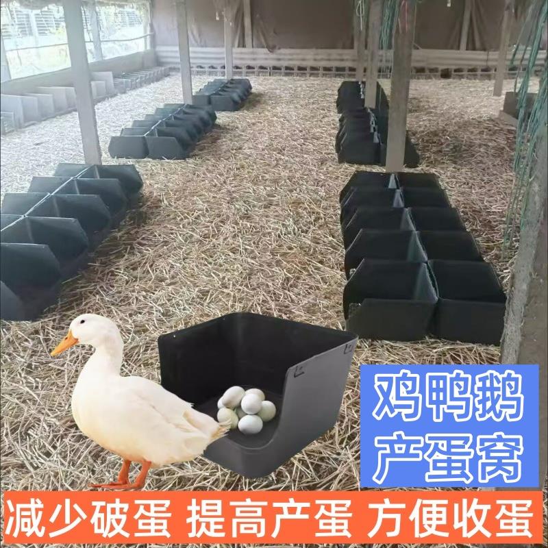 鸭子下蛋窝鸡产蛋窝鸽子散养鸡下蛋专用窝鹅鸭窝集蛋塑料蛋穴有底