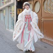 小公主 冬季 毛绒绣花大袖 凤台曲 衫 齐胸破裙唐风汉服加绒保暖