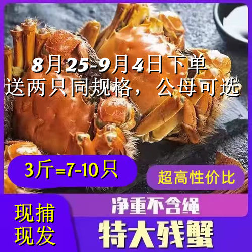 大闸蟹现货鲜活公母缺腿残次兴化