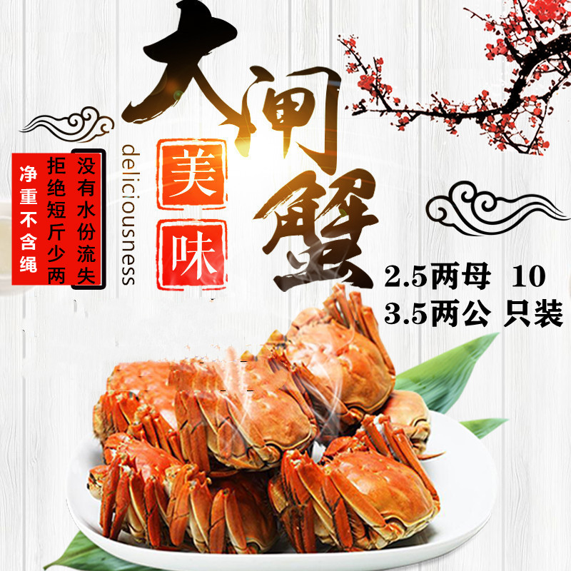 兴化大闸蟹大闸蟹礼盒特大