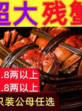 大闸蟹现货鲜活螃蟹全公母蟹缺腿蟹断腿蟹残次蟹残蟹特大