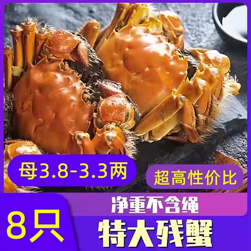 大闸蟹鲜活螃蟹全公母蟹缺腿蟹断腿蟹残次蟹残蟹母3.3-3.8两活蟹