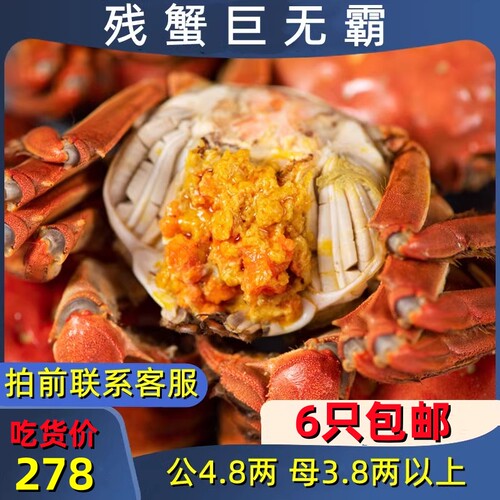 兴化残蟹高性价比断腿蟹