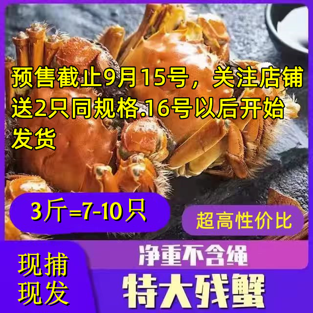大闸蟹现货鲜活公母缺腿残次兴化