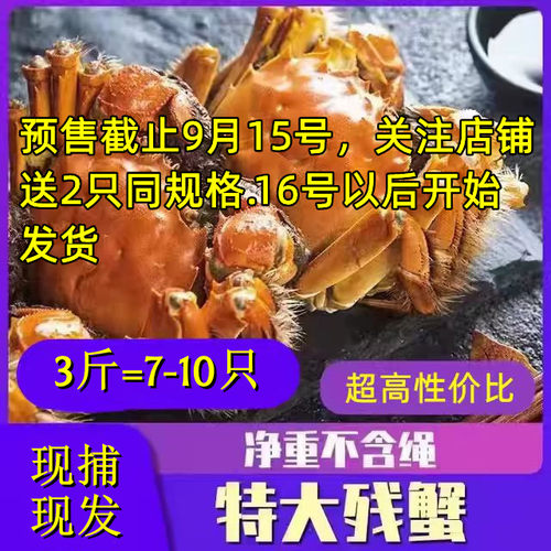 大闸蟹现货鲜活公母缺腿残次兴化