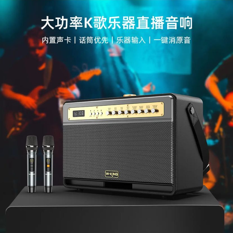 维尔晶 K6L+户外K歌直播蓝牙音响广场舞大功率双话筒乐器路演音箱