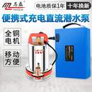充电直流潜水泵12V24V48V伏电瓶车家用抽水机户外浇菜小型 便携式