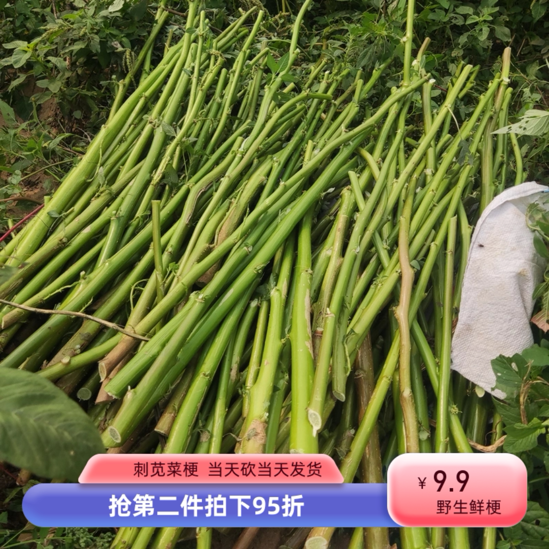 野生簕苋菜带刺苋菜梗臭豆腐绍兴苋菜梗卤水鲜梗煲汤现挖野菜四季