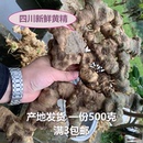 新鲜黄精5年以上多花姜型老虎姜黄精猫儿姜泡酒滋补煲汤中药材1斤