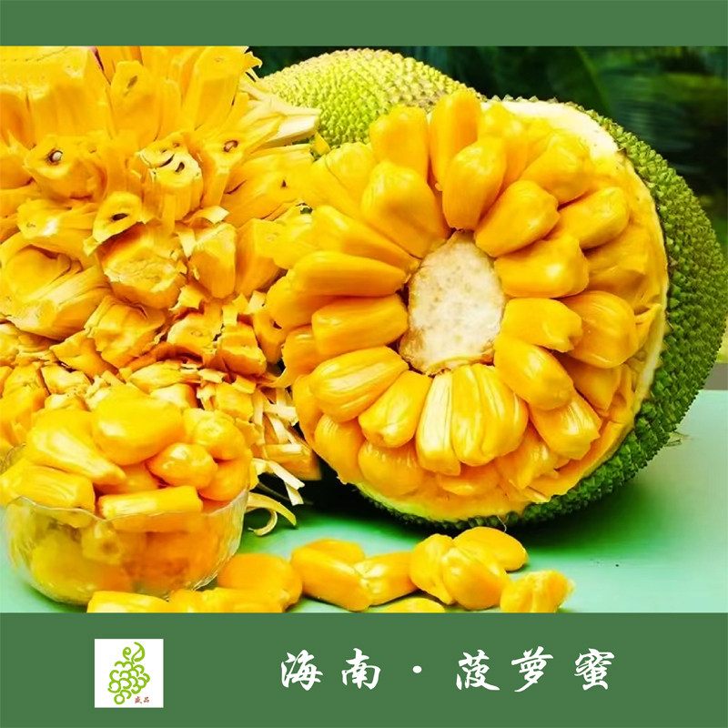 海南菠萝蜜22-25斤/个 澄迈/老树/水果中的老大收到软了就可以吃