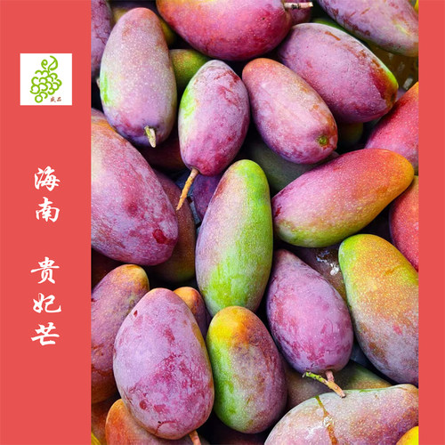 海南树上熟贵妃芒约4,5斤&7.5斤 空运到家 时令地理标志产品