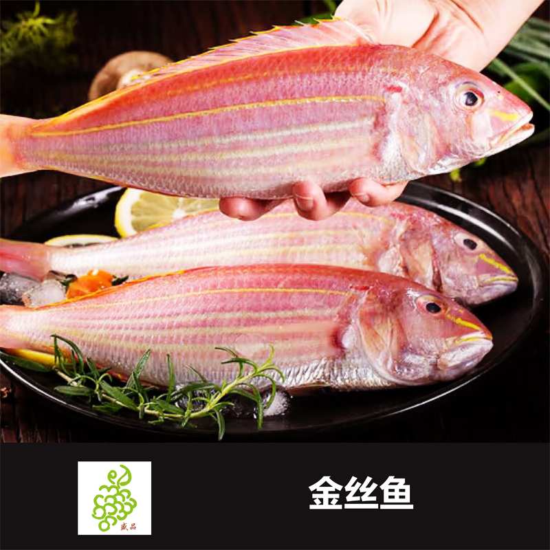 海钓金丝鱼 500g 海鲜新鲜刀里鱼海钓金