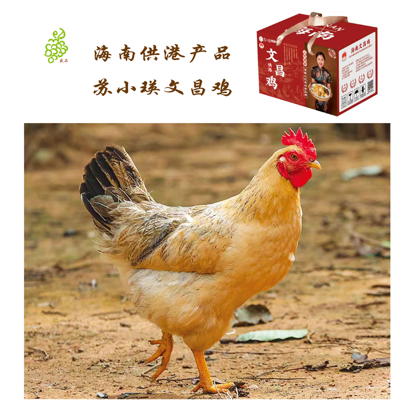 苏小瑛 海南文昌鸡 生鸡冷冻 散养加笼养足/肉质厚实浓香