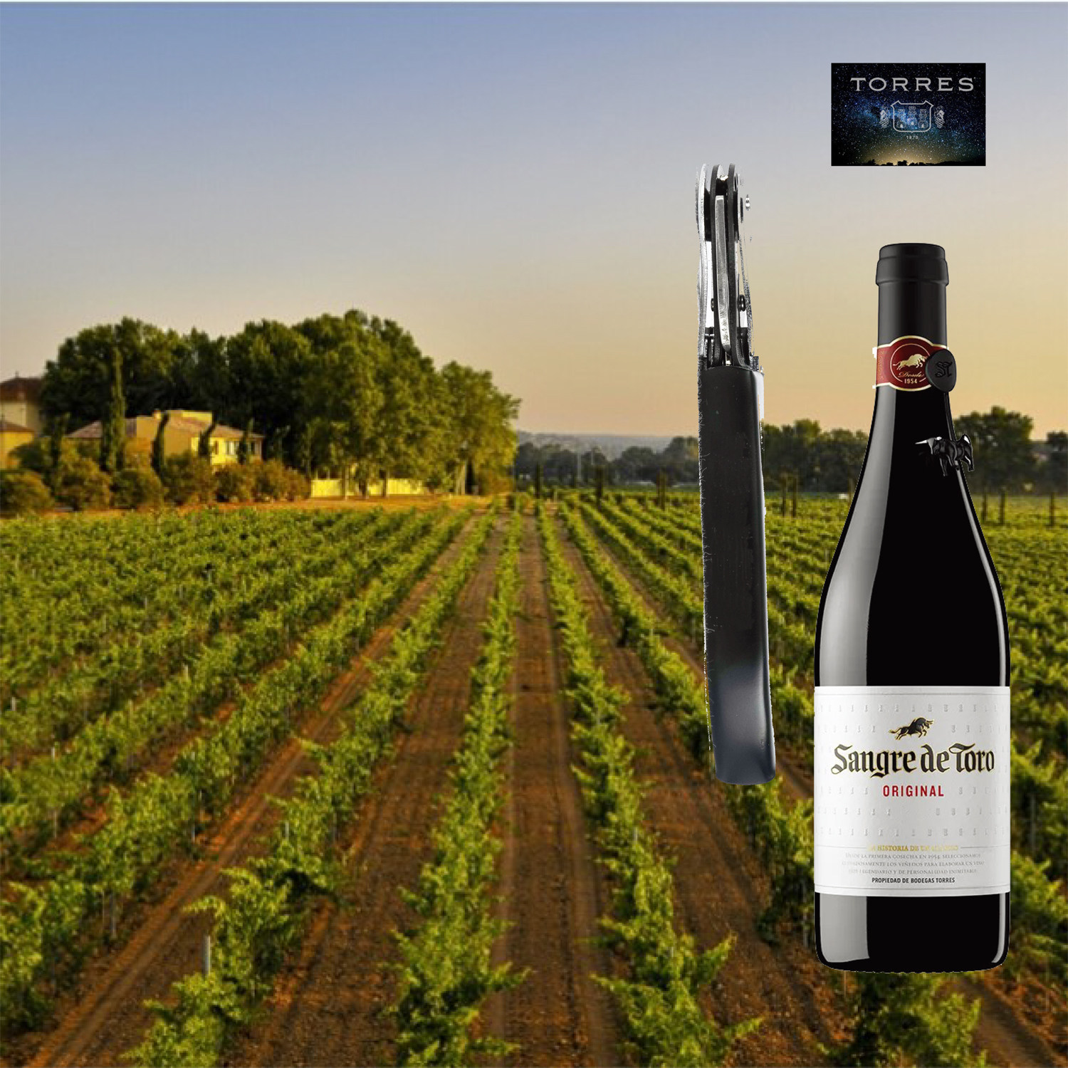 桃乐丝公牛血 torres sangre de toro 产品订购,代定制开瓶器