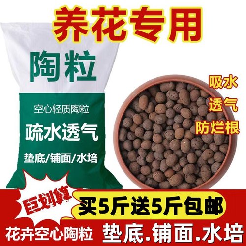 陶粒垫底多肉绿植水培回填防烂根