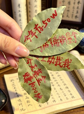 【马年许愿】精品月桂叶显化香天然香叶套装点一个周期收到即用