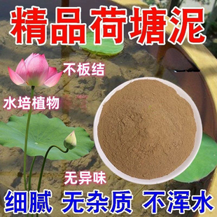 天然荷塘泥碗莲专用土睡莲铜钱草水生植物营养土荷花泥生态养龟缸