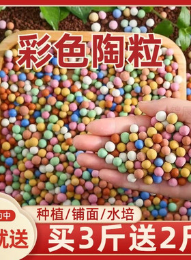 彩色陶粒花用垫底铺面石盆栽透气水培花卉多肉营养土种花粒球
