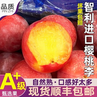 智利樱桃李新鲜水果进口洋李子孕妇当季高端水果清甜多汁顺丰包邮