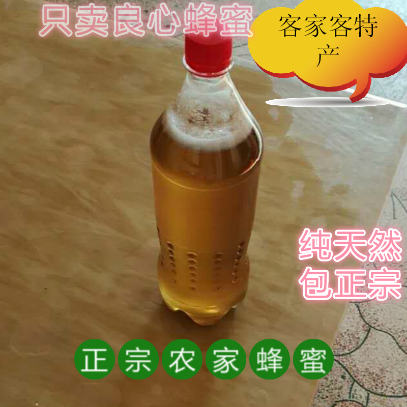 梅州特产 客家蕉岭纯正龙眼蜜 桂圆蜜 蜂蜜  春夏蜜 纯天然 包邮