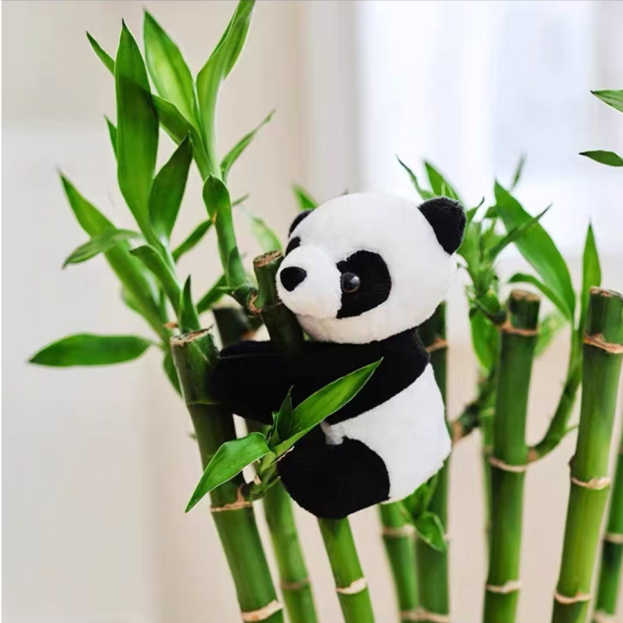 熊猫富贵竹子装饰毛绒夹子家居绿植摆件小玩偶公仔挂饰