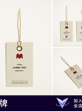【七八素材样机】服装标签吊牌潮流logo衣服品牌vi提案贴图ps设计