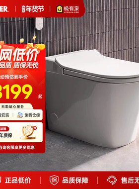 科勒智能马桶一体智能坐便器ST30LE卫生间家用轻智能座便器38011T
