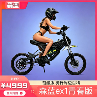 森蓝ex1青春版铅酸26款电动越野自行车