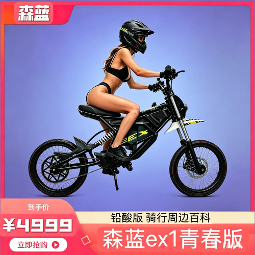 森蓝ex1青春版铅酸26款电动越野自行车