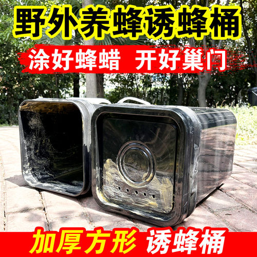野外养蜂诱蜂蜡方形中蜂蜡