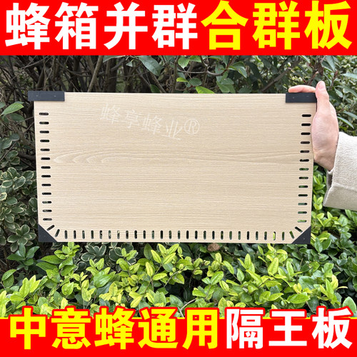 蜂箱蜜蜂合群板快速隔板养蜂工具