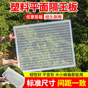 中蜂塑料隔王板可裁剪塑料平面隔王板防蜜蜂逃跑养蜂工具隔王片