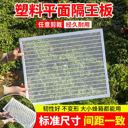 中蜂塑料隔王板可裁剪防蜜蜂逃跑