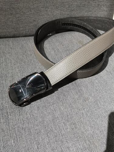 XP425  雷迪卡丹美裹推荐男士不锈钢自动扣简约大气腰带