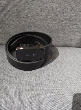 XP543   雷迪卡丹美裹推荐男士不锈钢自动扣简约大气腰带不退换