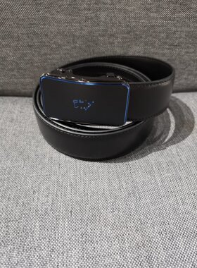 XP281  雷迪卡丹美裹推荐男士不锈钢自动扣简约大气腰带微瑕