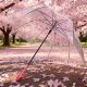 长柄透明雨伞粉色樱花高颜值学生女孩拍照用小清新自动网红透明伞