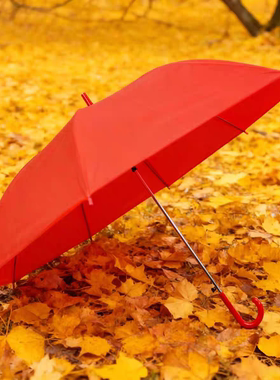 红伞结婚用的红色长柄雨伞小学生运动会舞台表演道具伞接亲伴娘伞