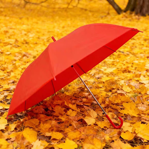 红伞结婚用的红色长柄雨伞小学生运动会舞台表演道具伞接亲伴娘伞