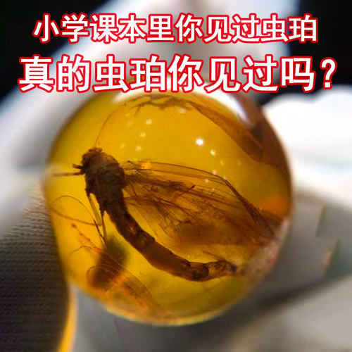 虫珀天然原矿珠子配饰琥珀蜜蜡