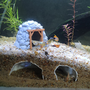 小鱼躲避屋虾屋鱼缸造景摆件水底矿洞爆氧洞穴小鱼庇护所鱼虾繁殖