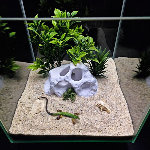 The Moon Rock Hide爬宠鱼缸造景3D打印水族装饰石山洞穴爬虫躲避