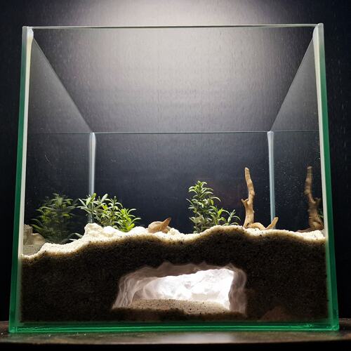 Blue Grotto 鱼缸水族装饰水下洞穴3D打印鱼缸底沙地形小鱼虾躲避