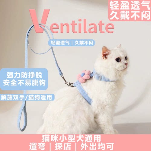 猫咪可调节宠物遛猫绳