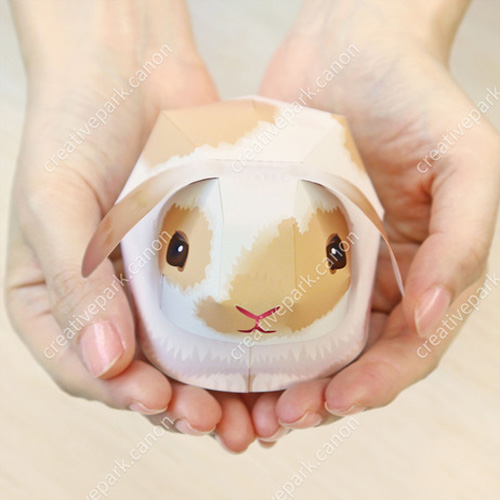 儿童手工折纸diy拼装立体3d纸质模型卡通动物小兔子垂耳兔制作