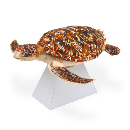 儿童手工折纸diy拼装立体3d纸质模型制作动物海洋生物鱼海龟玩偶