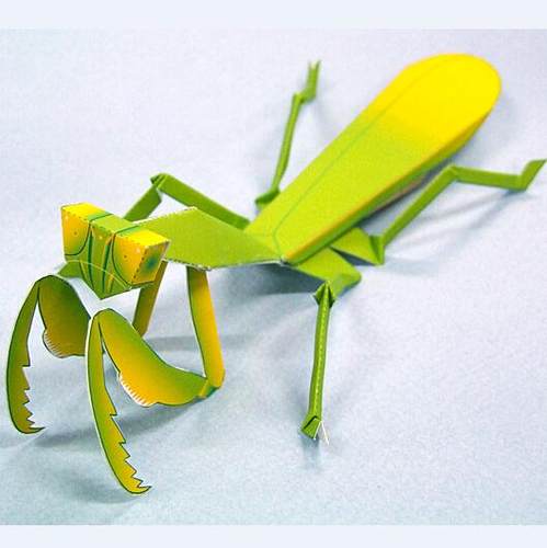 纸模型仿真昆虫螳螂益智玩具制作
