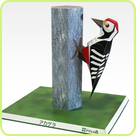 儿童手工折纸diy拼装益智立体3d纸质模型制作卡通动物小鸟啄木鸟