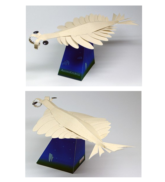 儿童手工折纸diy拼装立体纸质模型史前海洋生物奇虾益智玩具制作